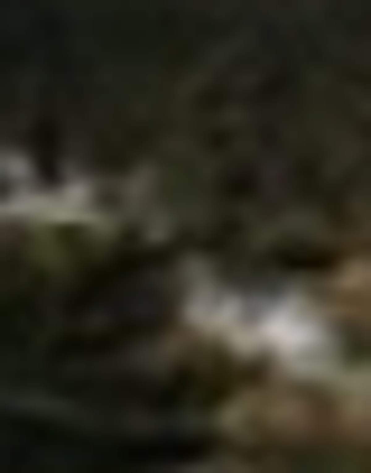Satellite picture of the mountain, Tuesday, October 13, with the trails drawn on. Snow seen from about 11,300 ft up, on all 3 trails.